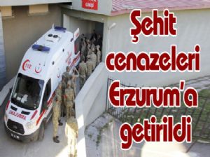 Şehit cenazeleri Erzurum'a getirildi