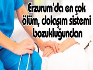 Erzurum'da en çok ölüm, dolaşım sistemi bozukluğundan