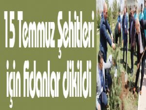 15 Temmuz Şehitleri için fidanlar dikildi