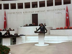 Aydemir: 'Ak dava küresel vicdana ders verdi'