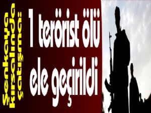 Şenkaya kırsalında çatışma: 1 terörist ölü ele geçirildi