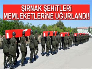 Şırnak şehitleri törenle memleketlerine uğurlandı