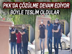 Hakkari'de 2 PKK'lı daha teslim oldu!