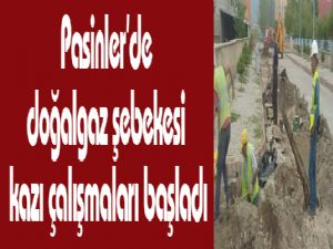 Pasinler'de doğalgaz şebekesi kazı çalışmaları başladı