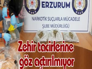 Zehir tacirlerine göz açtırılmıyor