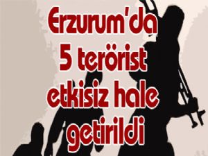Erzurum'da 5 terörist etkisiz hale getirildi