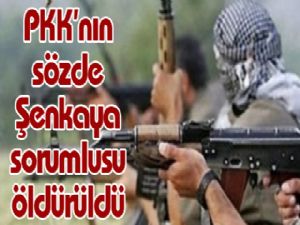 PKK'nın sözde Şenkaya sorumlusu öldürüldü