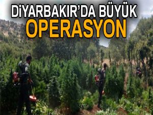 Diyarbakır kırsalında büyük operasyon sürüyor