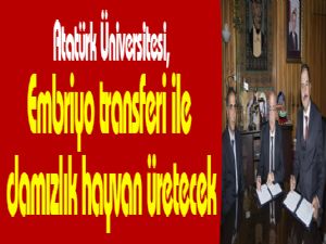 Atatürk Üniversitesi, Embriyo transferi ile damızlık hayvan üretecek