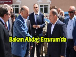 Bakan Akdağ'dan sürücülere trafik, vatandaşlara tatlı uyarısı