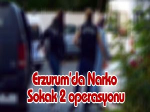 Erzurum'da Narko Sokak 2 operasyonu