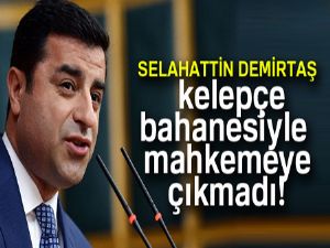 Demirtaş, kelepçelerle mahkemeye çıkmak istemedi