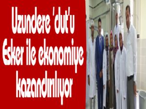 Uzundere 'dut'u Esker ile ekonomiye kazandırılıyor