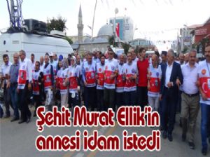 Şehit Murat Ellik'in annesi idam istedi