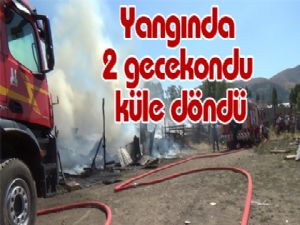 Yangında 2 gecekondu küle döndü