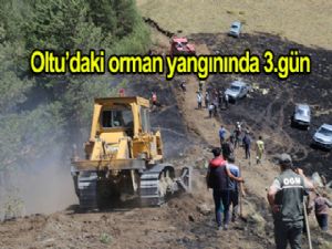 Oltu'daki orman yangını üçüncü gününde sürüyor