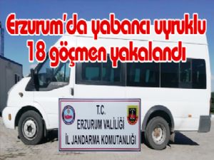 Erzurum'da yabancı uyruklu 18 göçmen yakalandı