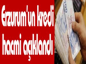 Erzurum'un kredi hacmi açıklandı