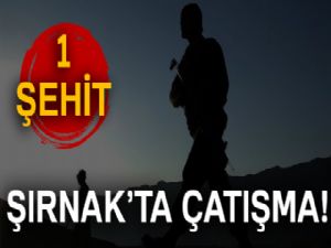 Şırnak'ta PKK'dan eş zamanlı saldırı: 1 şehit