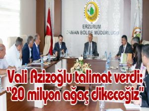 Vali Azizoğlu talimat verdi: 
