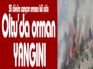 Oltu'da orman yangını 