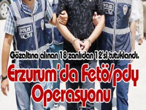 Erzurum'da Fetö/pdy Operasyonu 