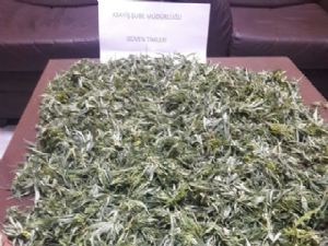 Erzurum'da 1 kilo 313 gram esrar, 88 adet extasy hap ele geçirildi