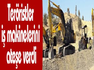 Teröristler Siirt'te iş makinelerini ateşe verdi