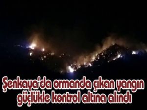 Erzurum'da ormanda çıkan yangın güçlükle kontrol altına alındı