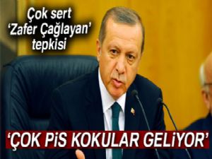 Erdoğan'dan çok sert 'Zafer Çağlayan' tepkisi