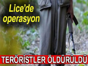 Lice'deki operasyonda 3 terörist öldürüldü