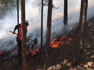 Sarıkamış Ormanları yanmaya devam ediyor