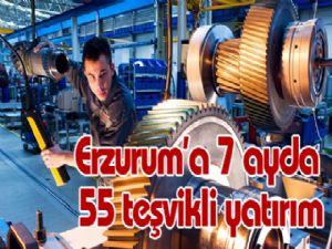 Erzurum'a 7 ayda 55 teşvikli yatırım