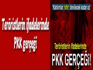 Teröristlerin ifadelerinde PKK gerçeği