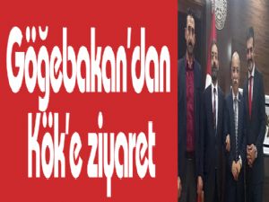 Göğebakan'dan Kök'e ziyaret