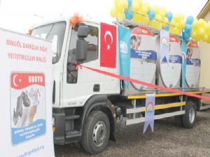 Bingöl'den Erzurum'a  günde 5 ton süt geliyor