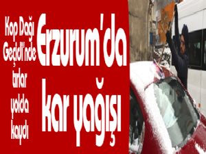 Erzurum'da kar yağışı