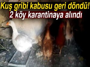 Kuş gribi kabusu geri döndü: 2 köy karantinaya alındı