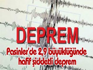 Pasinler'de 2,9 büyüklüğünde hafif şiddetli deprem