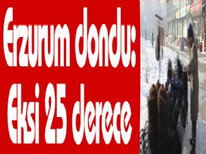 Erzurum dondu: Eksi 25 derece