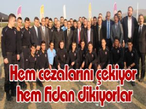 Hem cezalarını çekiyor hem fidan dikiyorlar