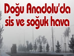 Doğu Anadolu'da sis ve soğuk hava