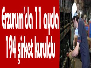 Erzurum'da 11 ayda 194 şirket kuruldu