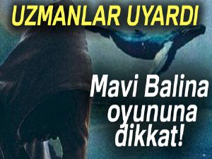 Uzmanlar uyarıyor, 'Mavi Balina buz dağının görünen kısmı'