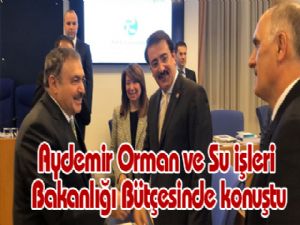 Aydemir Orman ve Su işleri Bakanlığı Bütçesinde konuştu