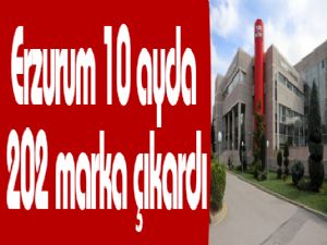 Erzurum 10 ayda 202 marka çıkardı