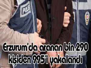 Erzurum'da aranan bin 290 kişiden 995'i yakalandı 