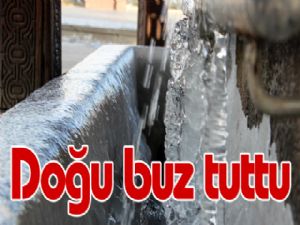 Doðu buz tuttu