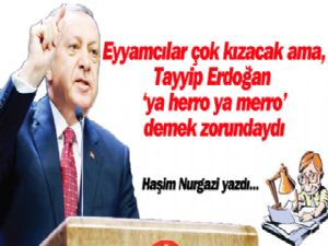 Eyyamcılar çok kızacak, ama Tayyip Erdoğan, 