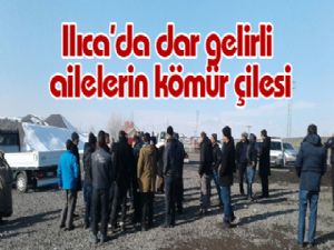 Ilıca'da dar gelirli ailelerin kömür çilesi